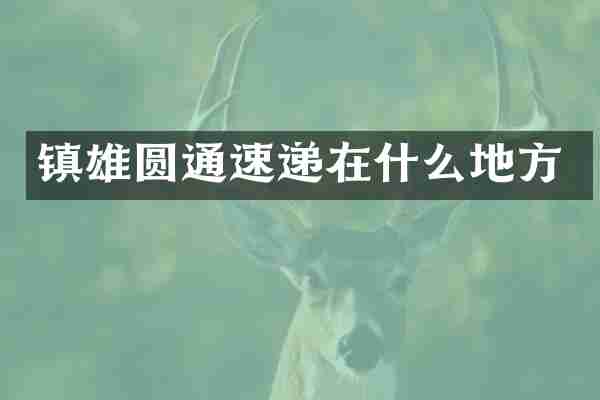 镇雄圆通速递在什么地方