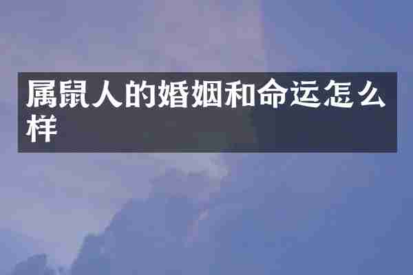 属鼠人的婚姻和命运怎么样