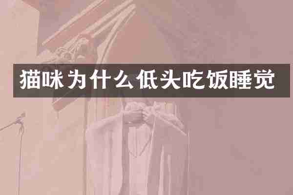 猫咪为什么低头吃饭睡觉
