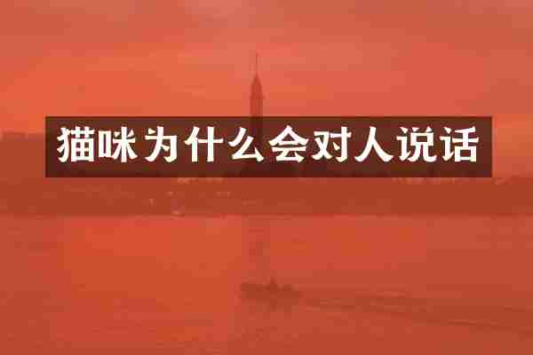 猫咪为什么会对人说话