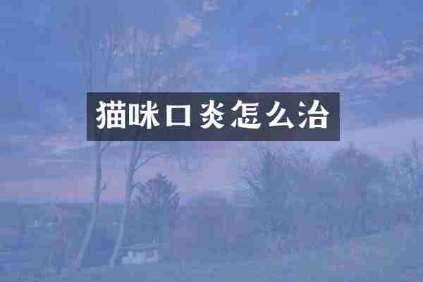 猫咪口炎怎么治