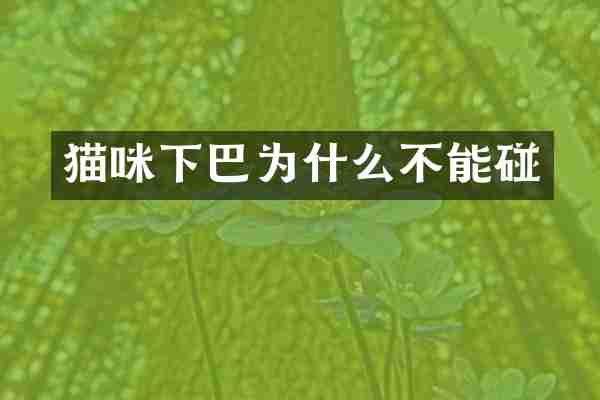 猫咪下巴为什么不能碰
