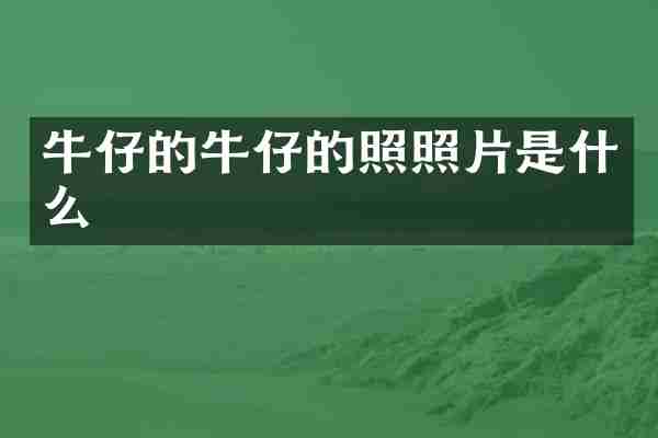 牛仔的牛仔的照照片是什么