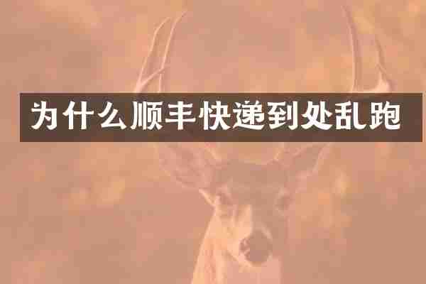 为什么顺丰快递到处乱跑