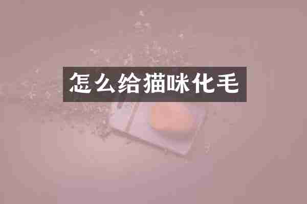 怎么给猫咪化毛