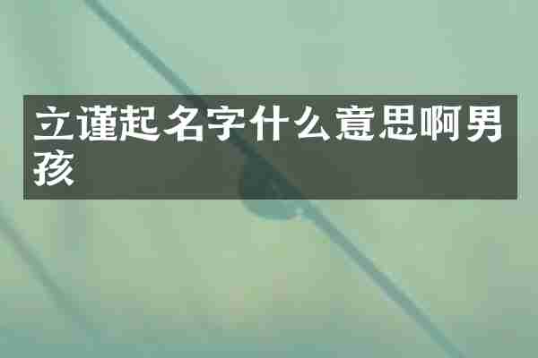 立谨起名字什么意思啊男孩