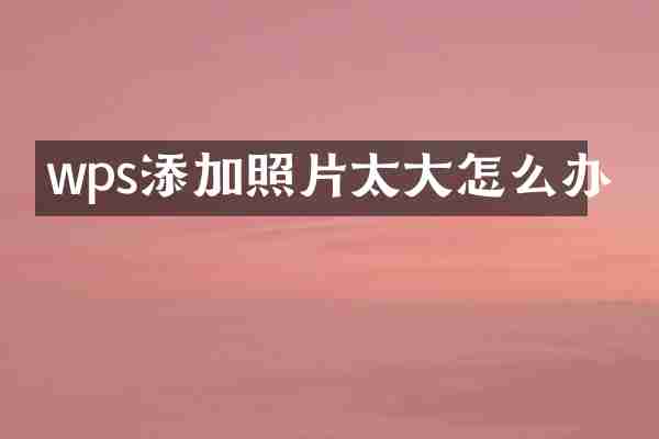 wps添加照片太大怎么办