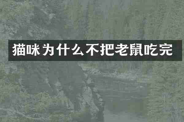 猫咪为什么不把老鼠吃完