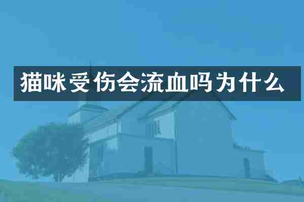 猫咪受伤会流血吗为什么