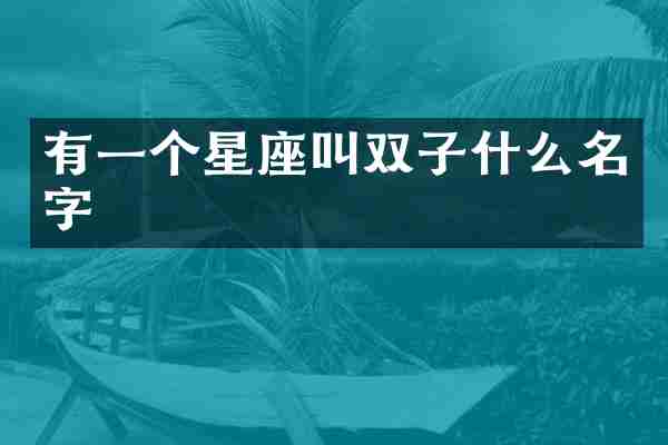 有一个星座叫双子什么名字