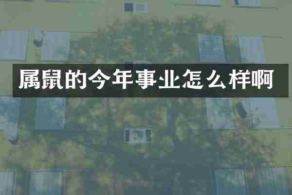 属鼠的今年事业怎么样啊