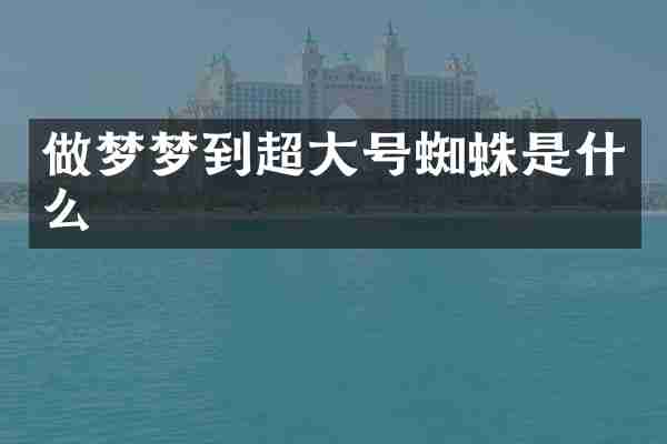 做梦梦到超大号蜘蛛是什么