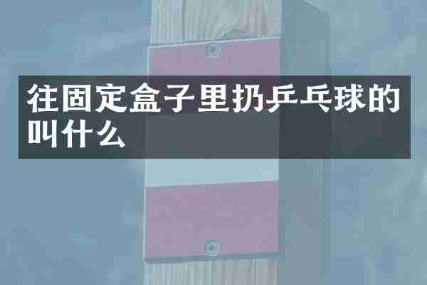 往固定盒子里扔乒乓球的叫什么
