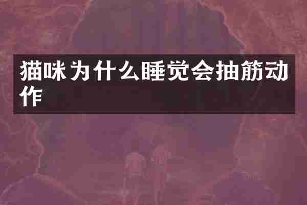 猫咪为什么睡觉会抽筋动作