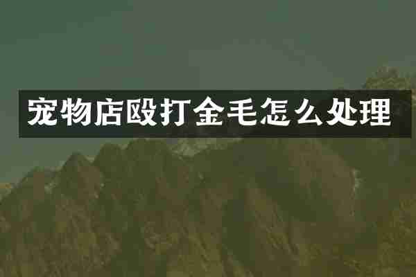宠物店殴打金毛怎么处理