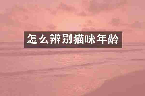 怎么辨别猫咪年龄