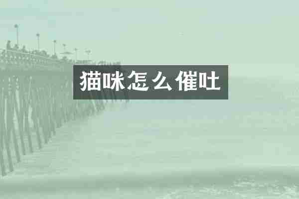 猫咪怎么催吐