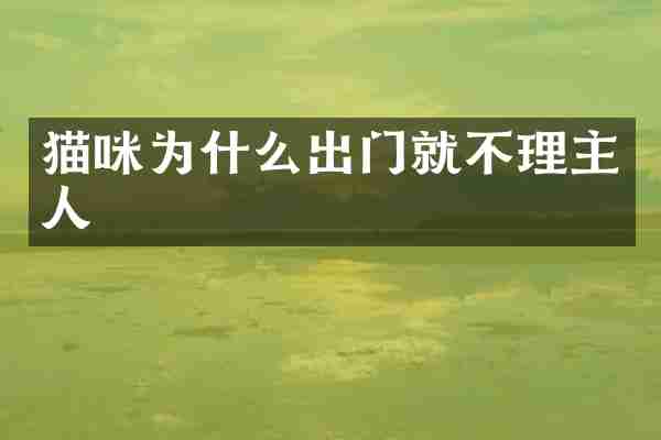 猫咪为什么出门就不理主人
