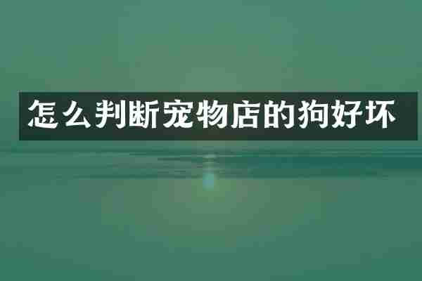 怎么判断宠物店的狗好坏
