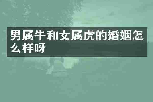 男属牛和女属虎的婚姻怎么样呀
