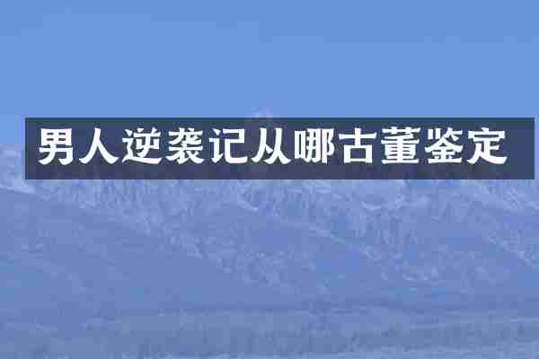 男人逆袭记从哪古董鉴定