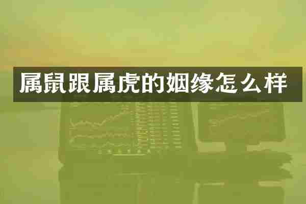 属鼠跟属虎的姻缘怎么样