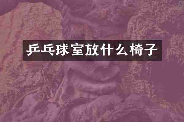 乒乓球室放什么椅子