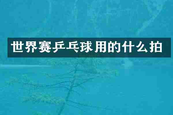 世界赛乒乓球用的什么拍