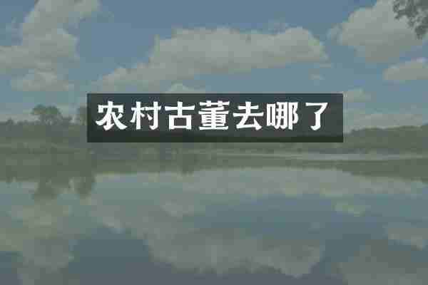 农村古董去哪了