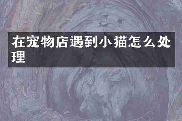 在宠物店遇到小猫怎么处理