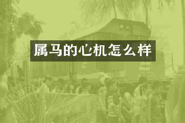 属马的心机怎么样