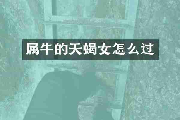 属牛的天蝎女怎么过