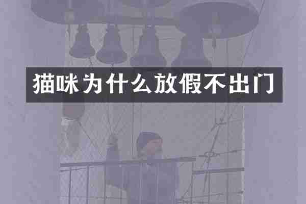 猫咪为什么放假不出门
