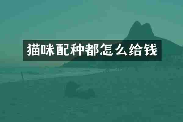 猫咪配种都怎么给钱