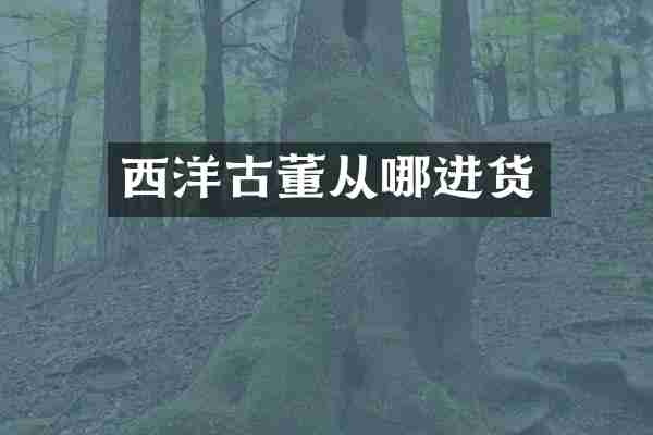 西洋古董从哪进货
