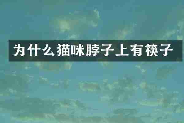 为什么猫咪脖子上有筷子