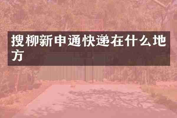 搜柳新申通快递在什么地方