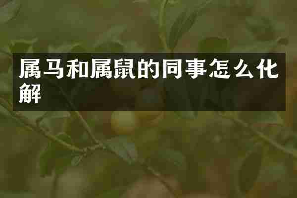 属马和属鼠的同事怎么化解