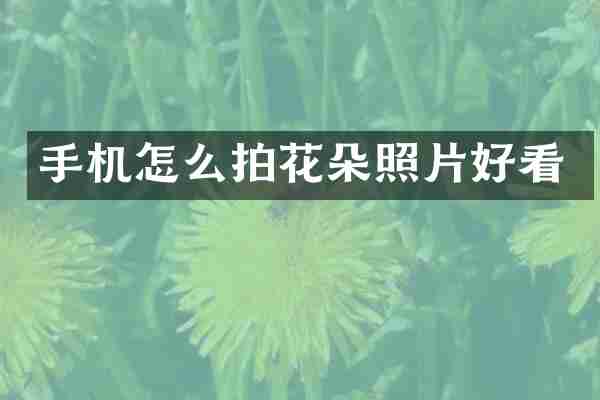 手机怎么拍花朵照片好看