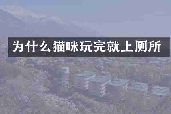 为什么猫咪玩完就上厕所