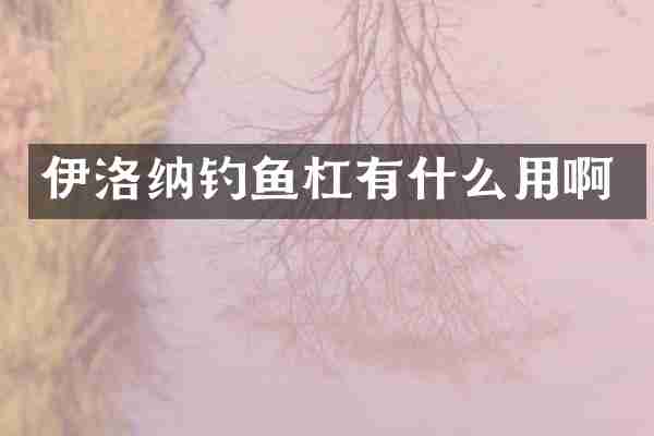 伊洛纳钓鱼杠有什么用啊