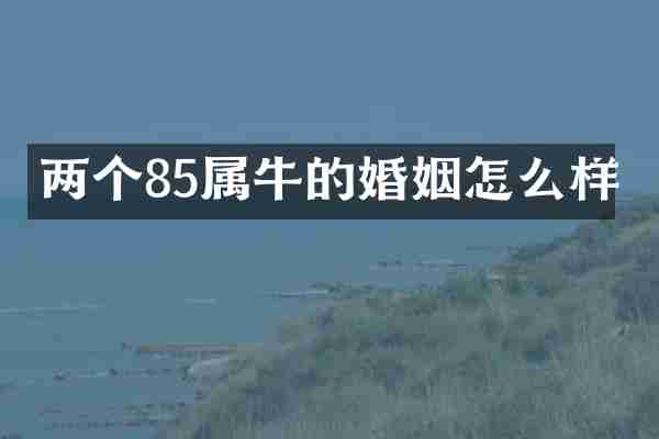 两个85属牛的婚姻怎么样
