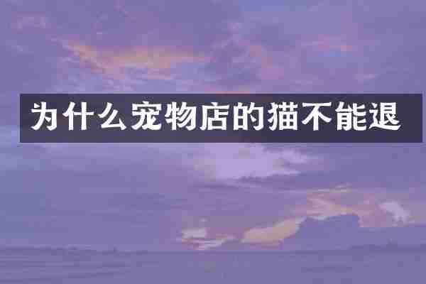 为什么宠物店的猫不能退