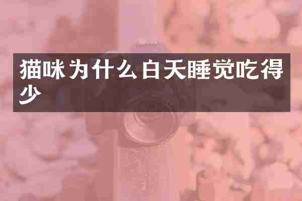 猫咪为什么白天睡觉吃得少