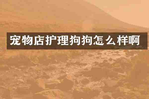 宠物店护理狗狗怎么样啊