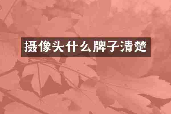摄像头什么牌子清楚
