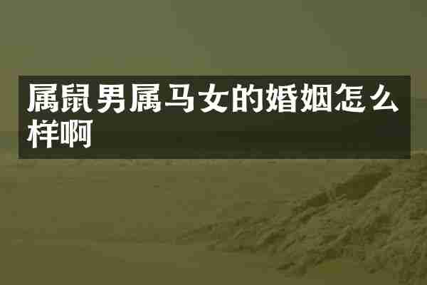 属鼠男属马女的婚姻怎么样啊