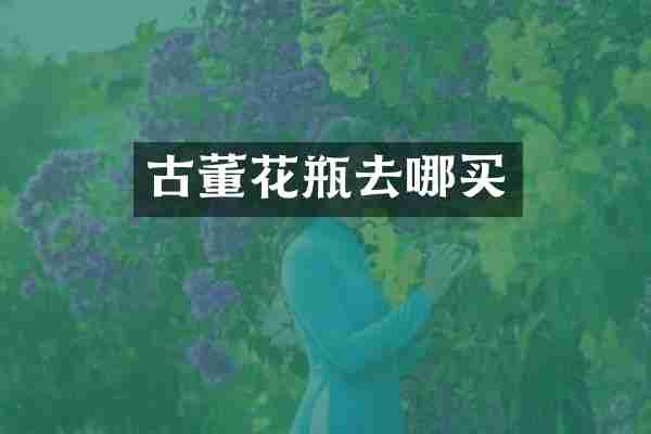 古董花瓶去哪买