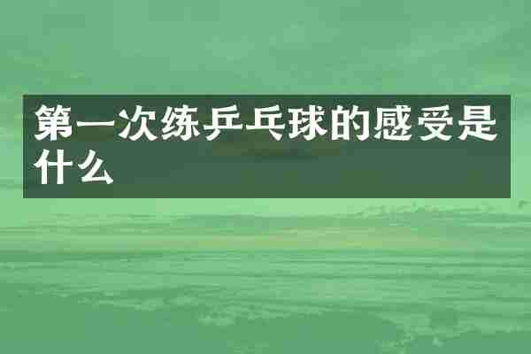 第一次练乒乓球的感受是什么