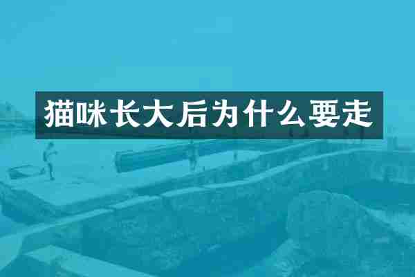 猫咪长大后为什么要走